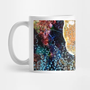 Pederson Cleaner Shrimp Mug